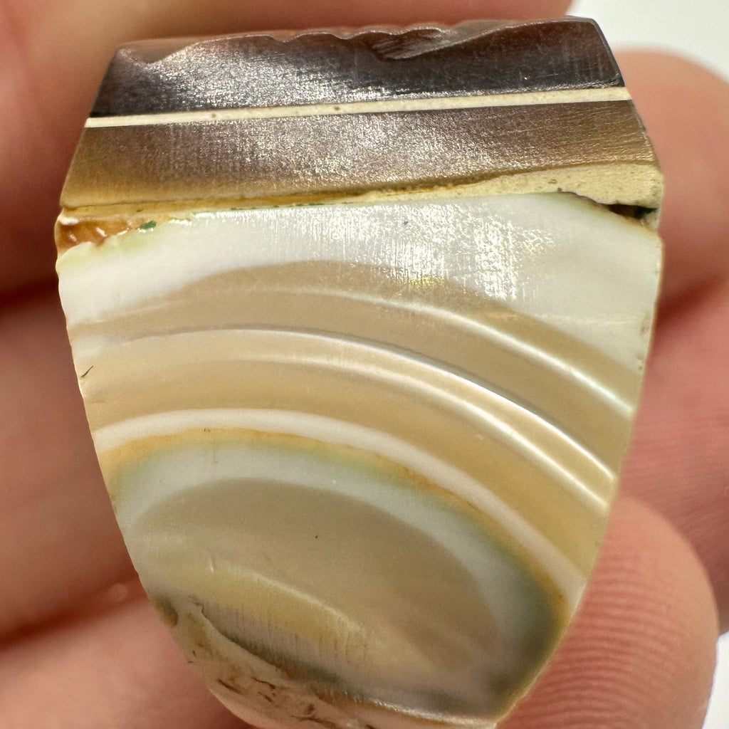 Vintage antique carved genuine abalone mother of pearl statement ring size 6.5